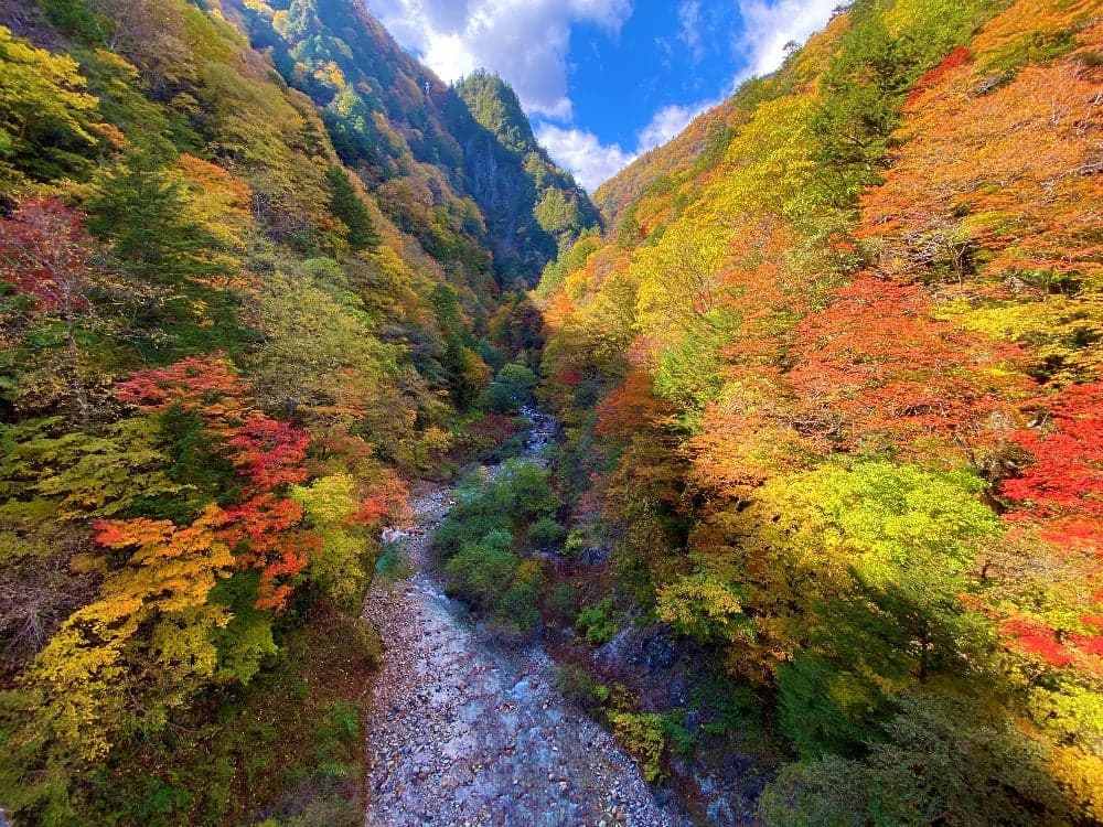 Autumn leaves in the Takase Valley