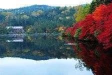 Autumn leaves in the pond of Shirakoma