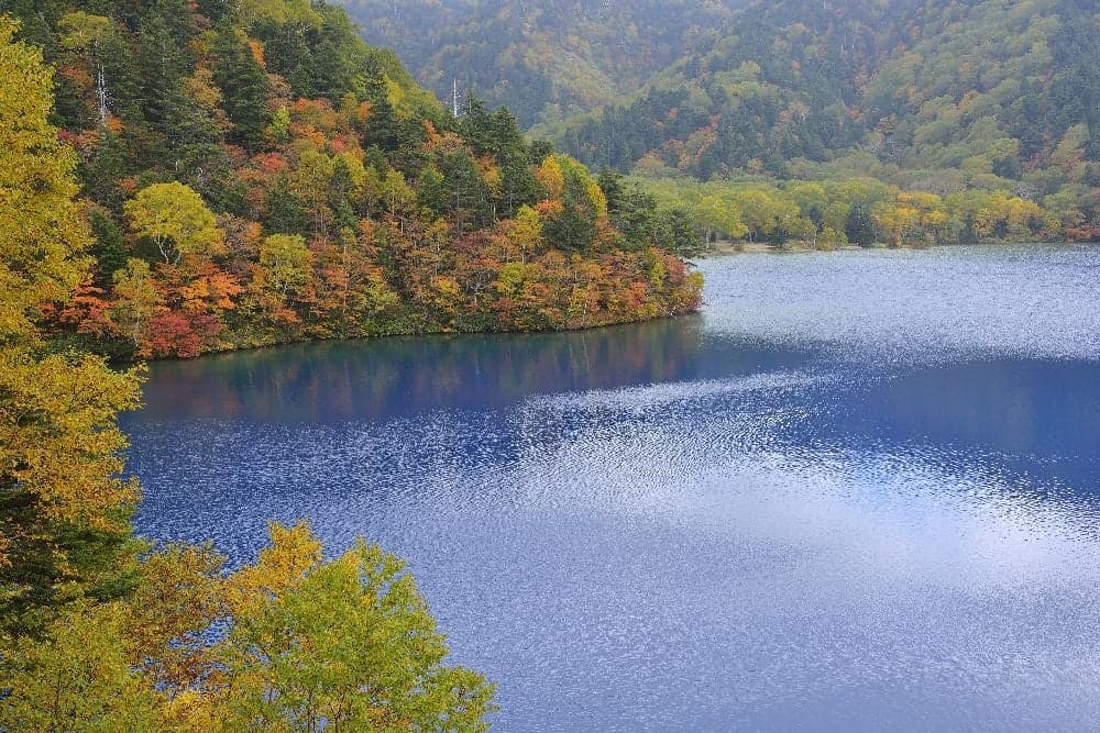 志賀高原の紅葉