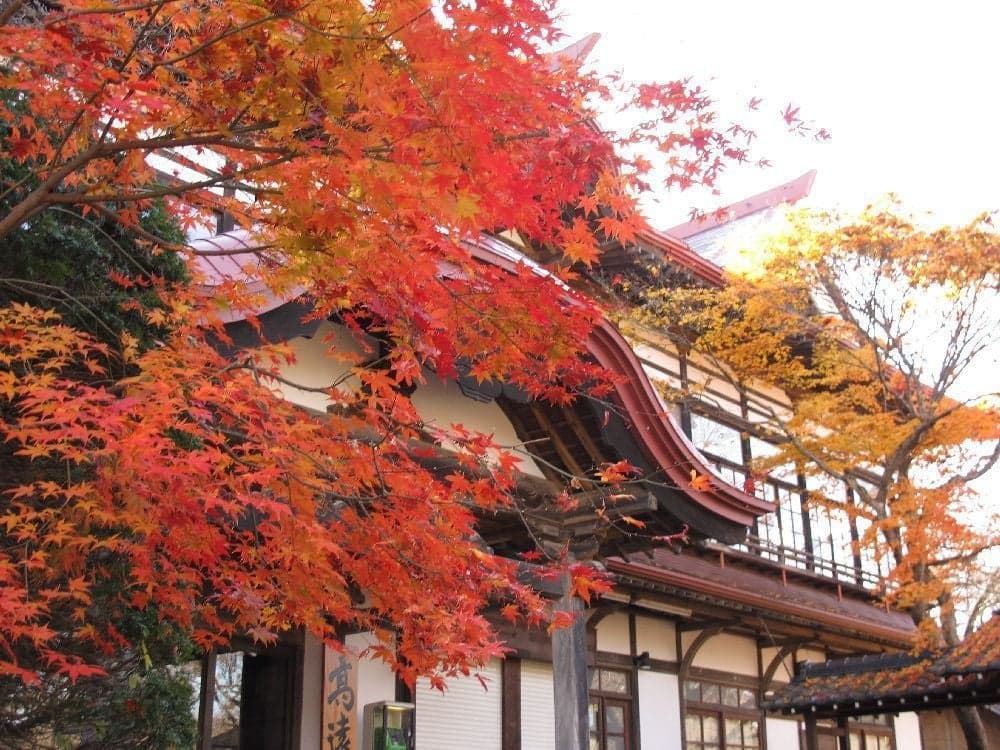 Takato Castle Ruins Park
