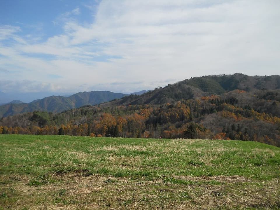 数河高原の紅葉