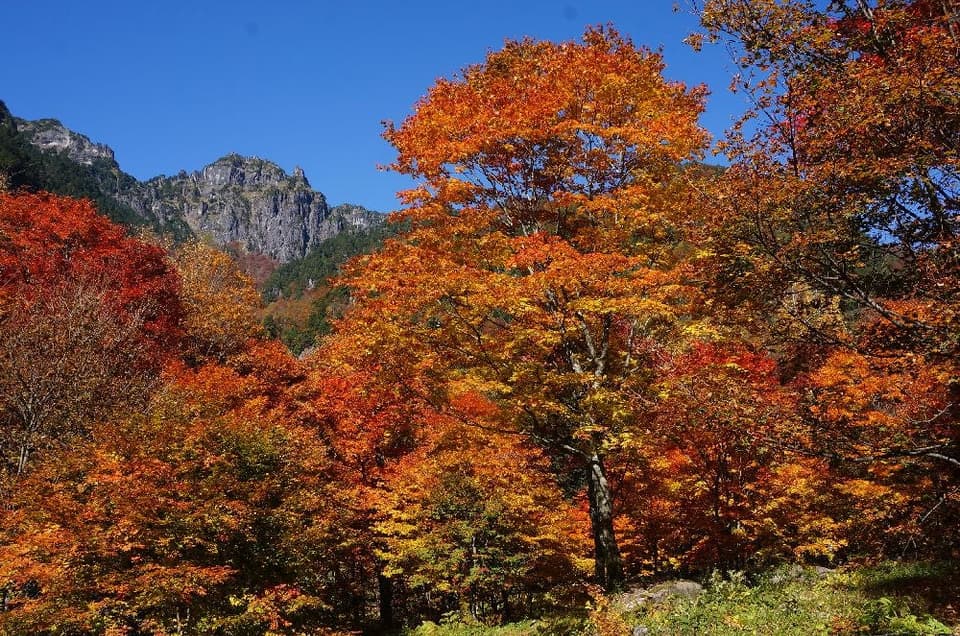 奥飛騨温泉郷の紅葉
