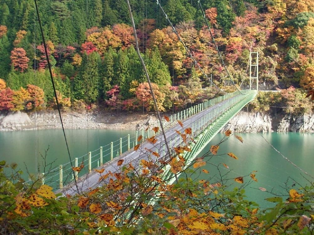 Autumn leaves of Lake Igawa