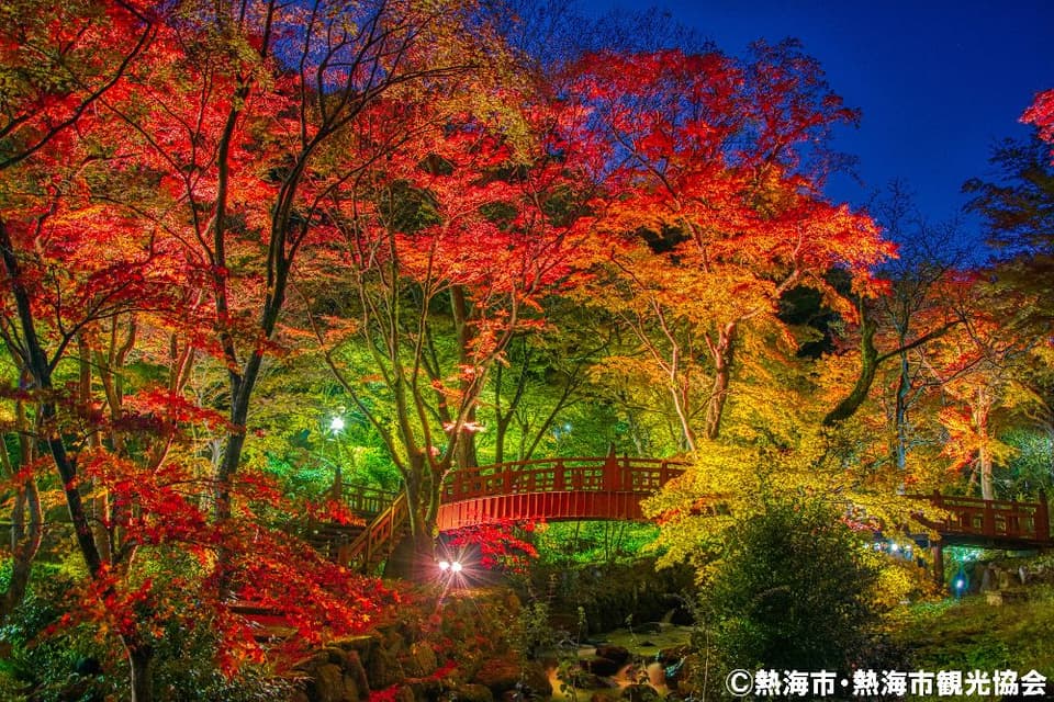 熱海梅園の紅葉