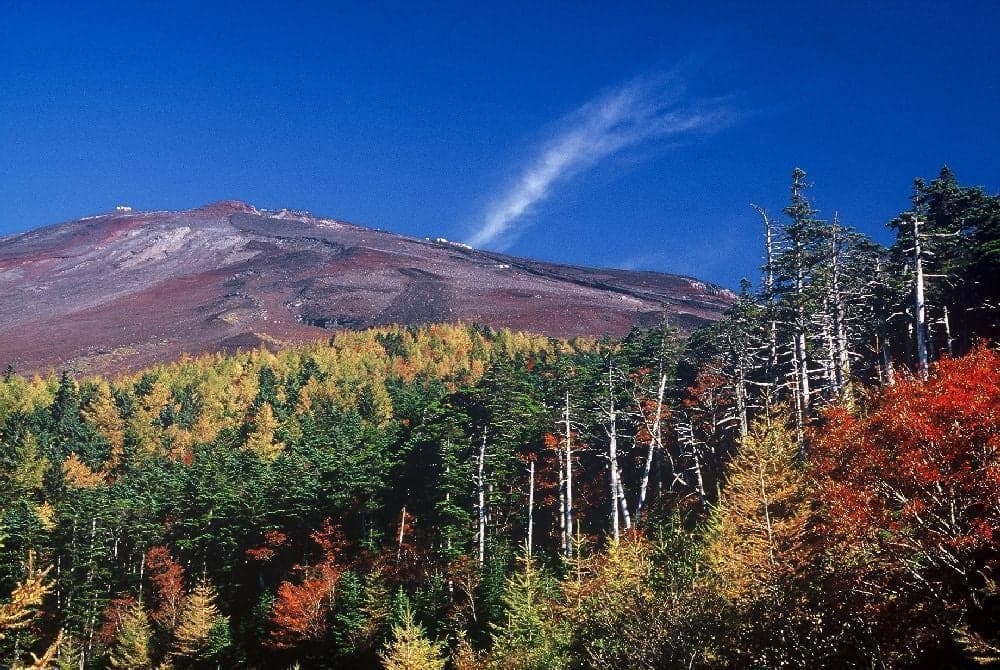 Autumn leaves of Mount Fuji Miyaguchi 5th station (Shizuoka side) and Fujisan Skyline