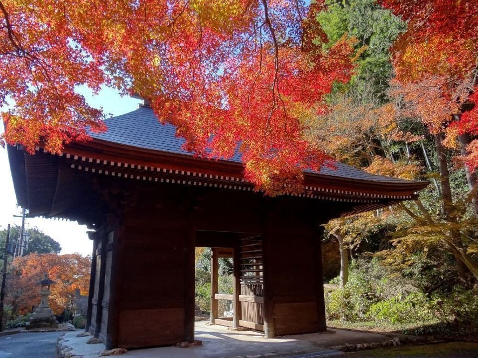普門寺　もみじ祭りの紅葉
