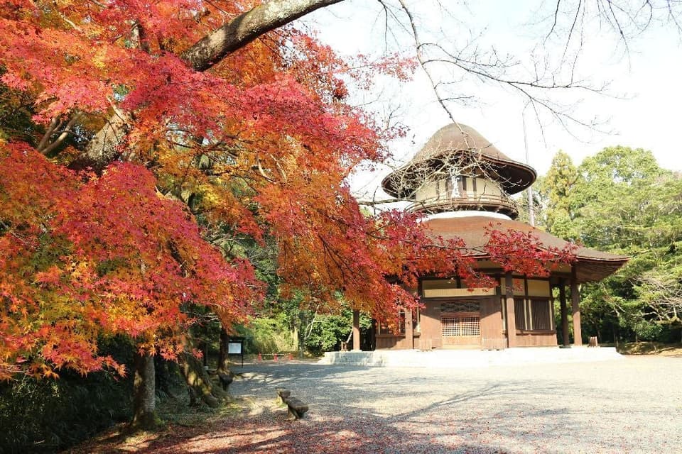 上野公園の紅葉