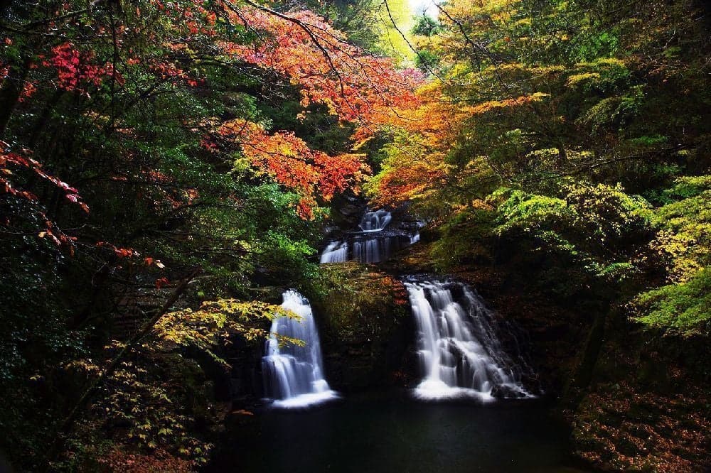 Autumn leaves of Akame Shijuhachi Falls