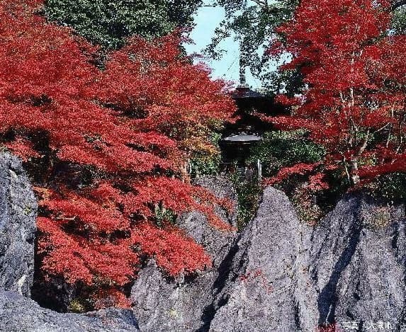 Autumn leaves of Ishiyama-dera Temple
