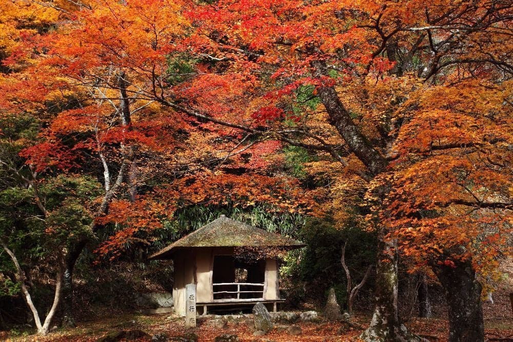 Autumn leaves of Yoshinoyama