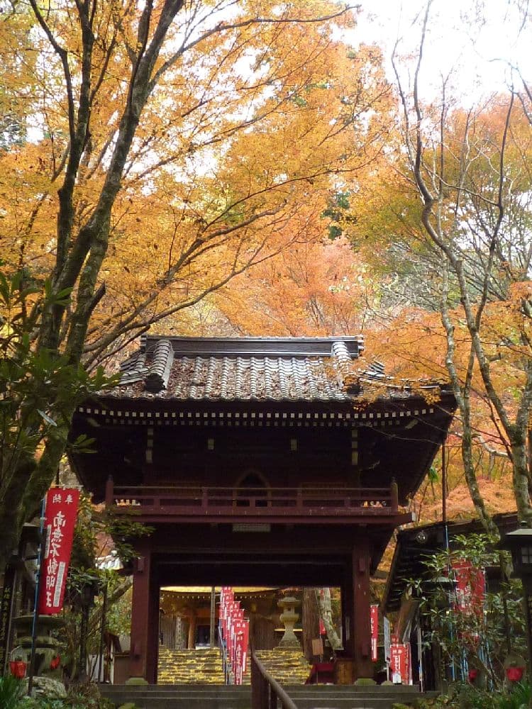 Autumn leaves of Ryuzo-ji Temple