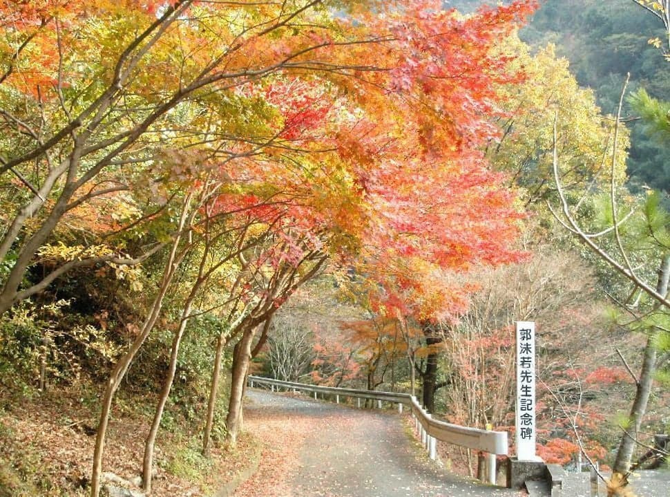 Autumn leaves at Obuchi Mebuchi Park