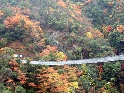 五家荘（梅の木轟公園）の紅葉