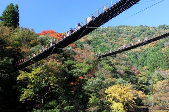 五家荘（樅木の吊橋）