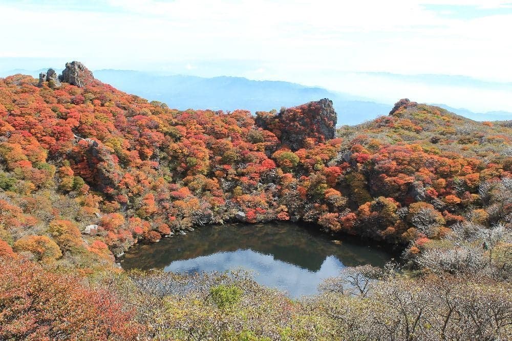 Autumn leaves of the Kuju Mountain Range