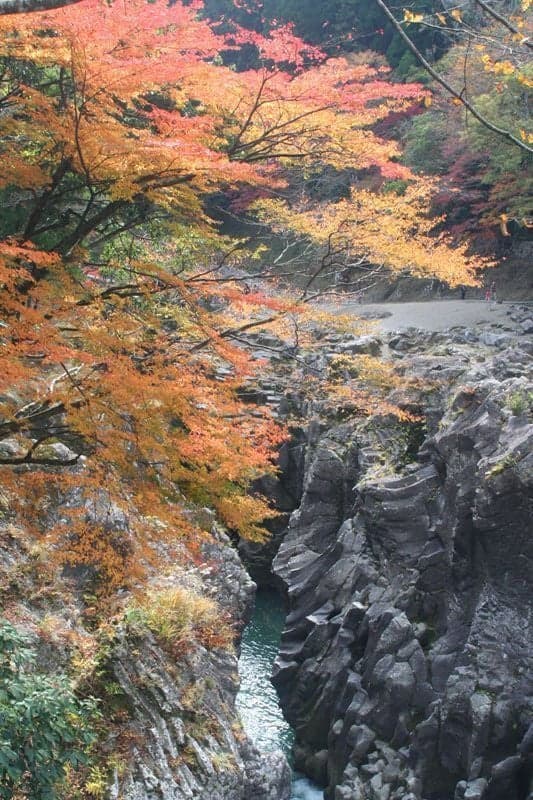 Autumn leaves of Takachiho-kyo Gorge
