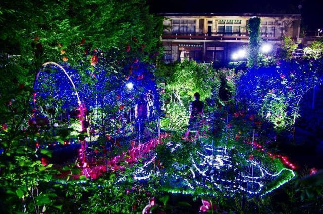 Limited-time night garden