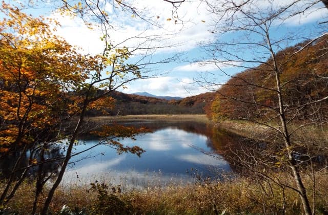 Arasawa Marshland (Taya Marsh)