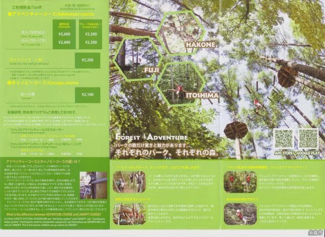 Forest Pamphlet Table