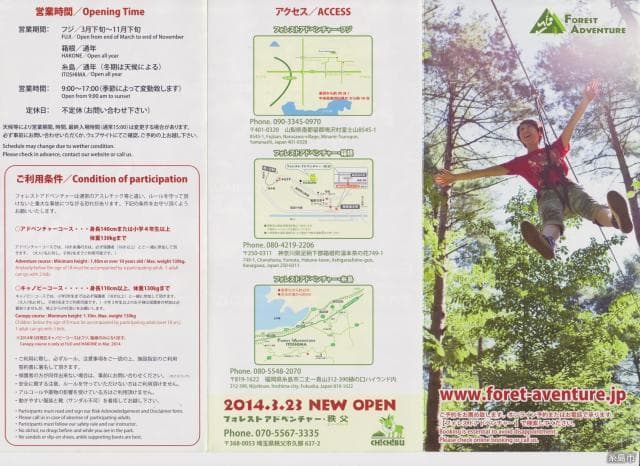 The back of the forest brochure
