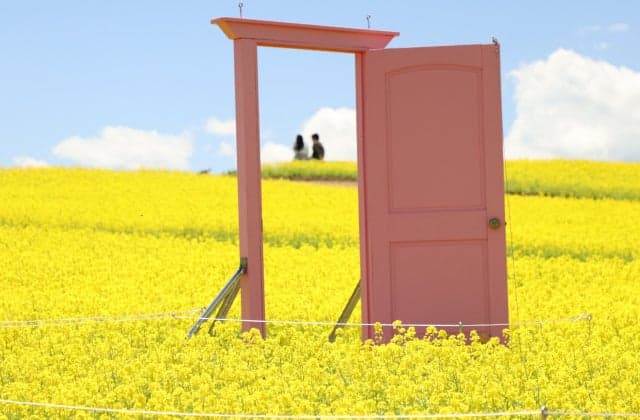 The garden rape field and the pink door