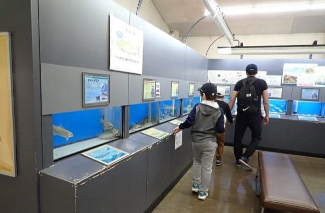 Breeding Exhibition Room