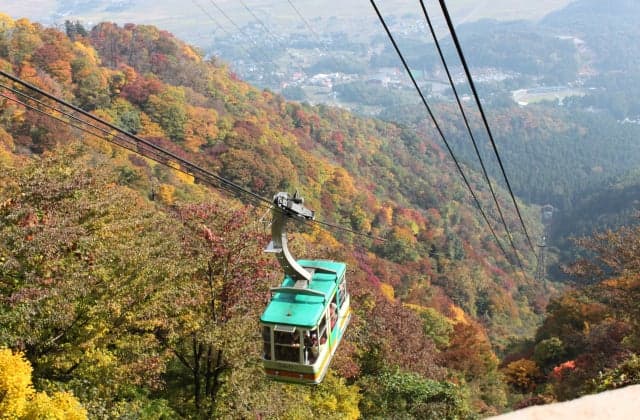 Ropeway