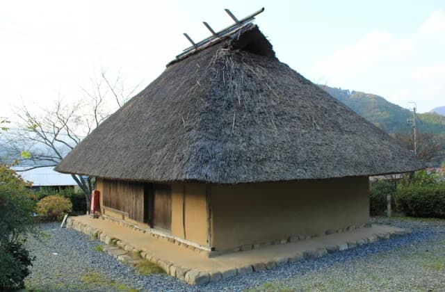 Old Domen House