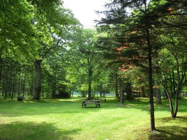 Lawn Square