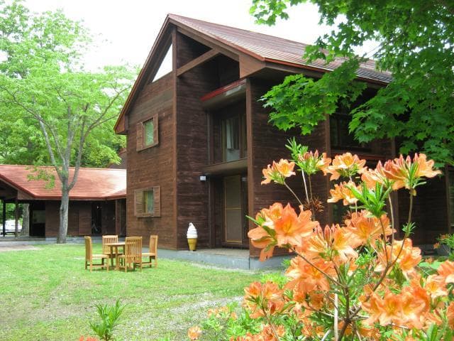 Mountain center