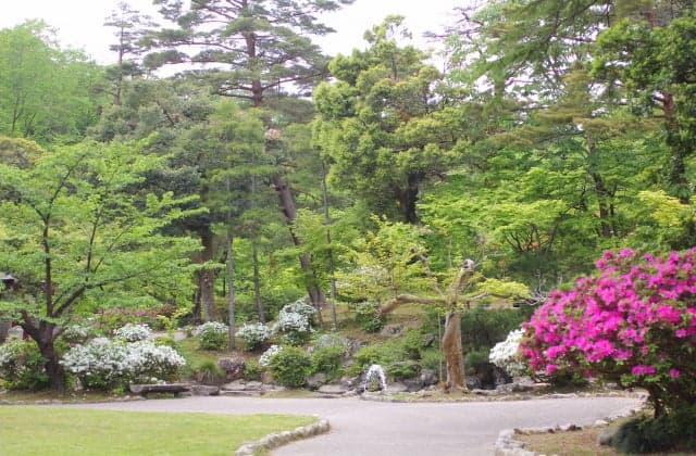 Yahiko Park