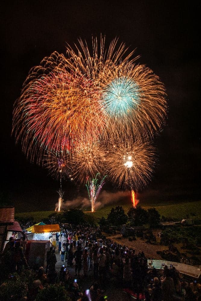 Akiyoshi-dai Sightseeing Festival Fireworks Festival