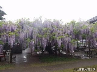 6 shakufuji of Juun-ji Temple