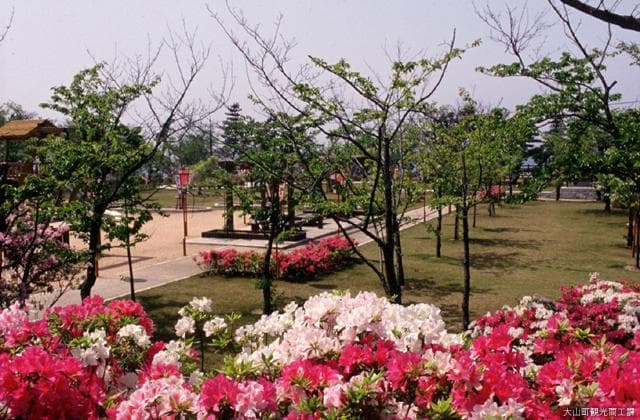 名和公園つつじ