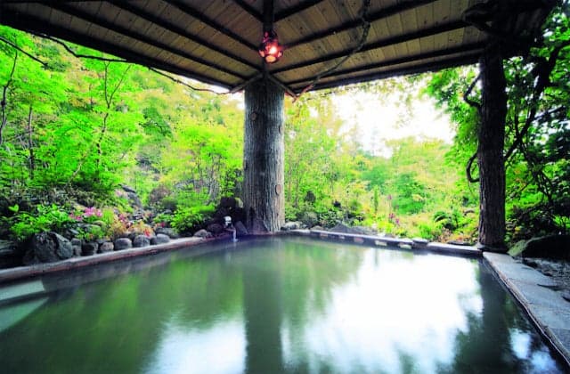 Shinkashi Onsen Gomineso