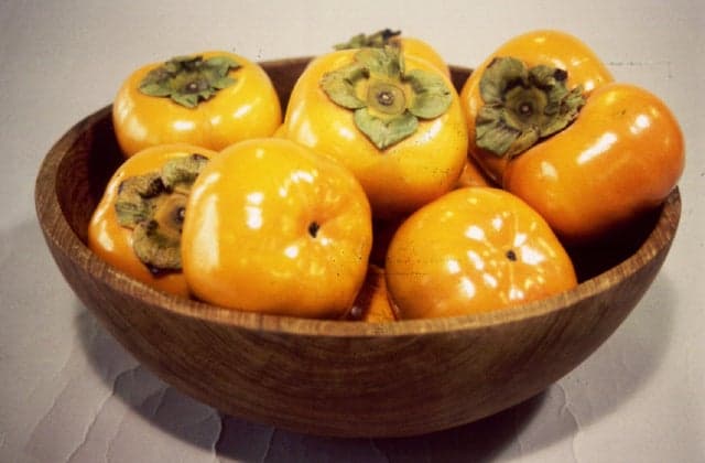 Jiro persimmon