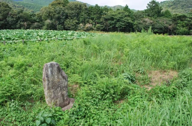 Charcoal Burial Mounds