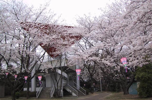 Mitsuyama Observation Deck