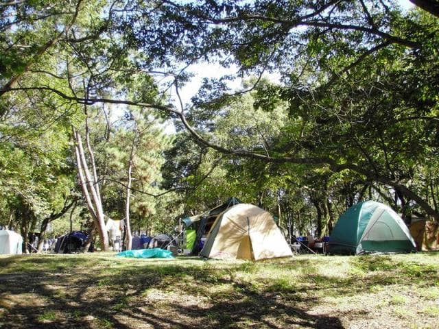 Irino Matsubara Campsite