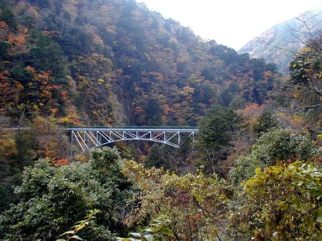 Hiryukyo Bridge in Autumn Leaves
