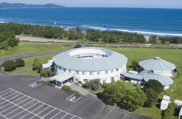 Nest West Garden Tosa (Appearance)