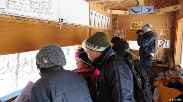 ハイドからの観察