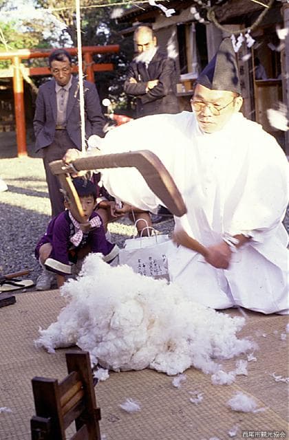 Cotton Sosai