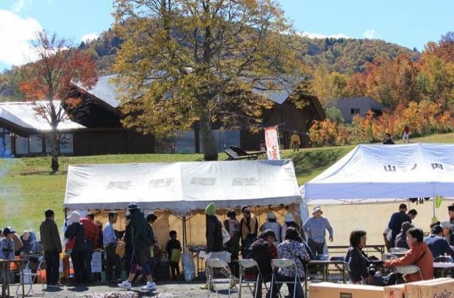 Autumn Leaves Festa