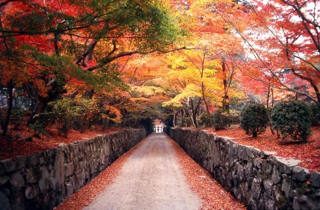興聖寺　琴坂