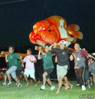 Goldfish Mikoshi Trial Race