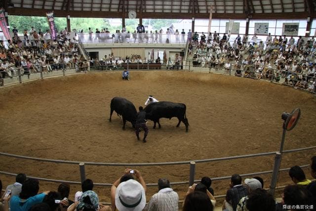 Summer Place of Beef Competition