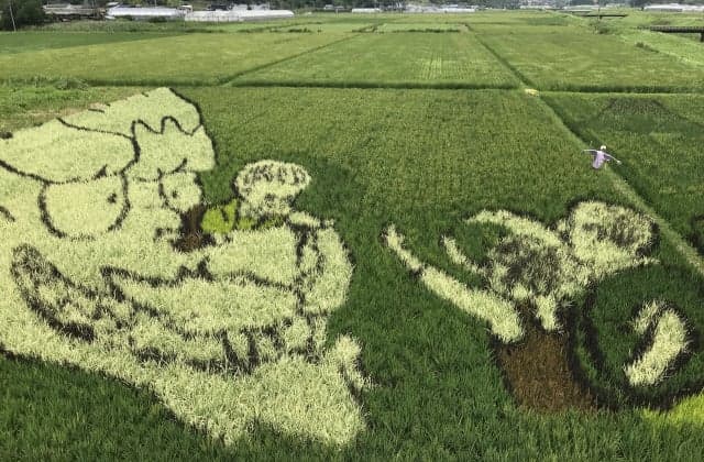 U-chan on the 2020 Ryuni