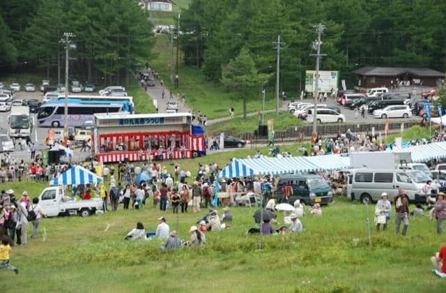 Yunomaru Kogen Azalea Festival