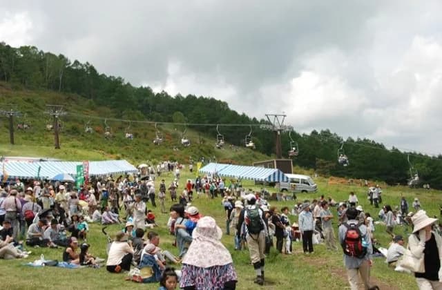 Yunomaru Kogen Azalea Festival
